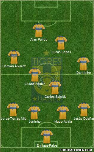 Club Universitario de Nuevo León Formation 2013