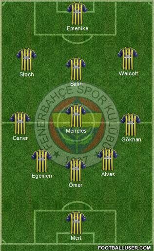 Fenerbahçe SK Formation 2013