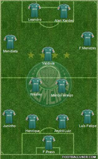 SE Palmeiras Formation 2013