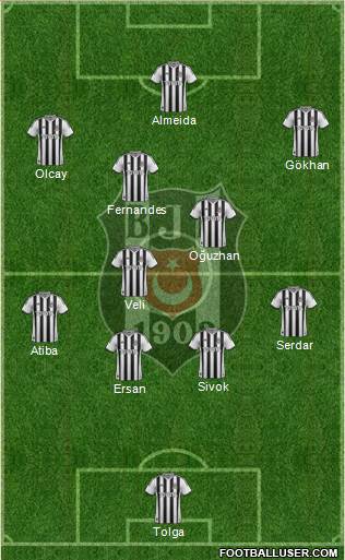 Besiktas JK Formation 2013