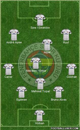 Fenerbahçe SK Formation 2013