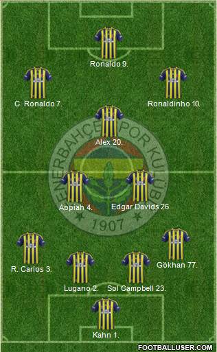 Fenerbahçe SK Formation 2013