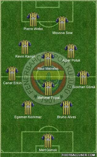 Fenerbahçe SK Formation 2013