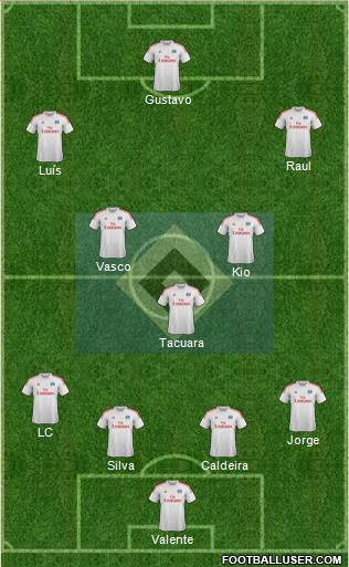 Hamburger SV Formation 2013