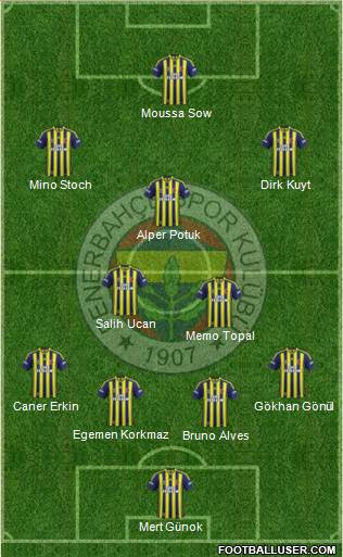 Fenerbahçe SK Formation 2013