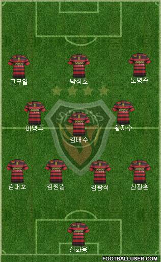 Pohang Steelers Formation 2013