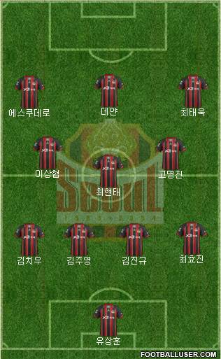 FC Seoul Formation 2013