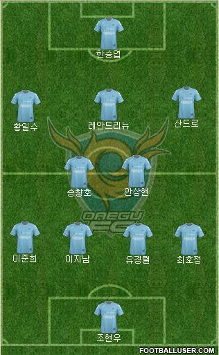 Daegu FC Formation 2013