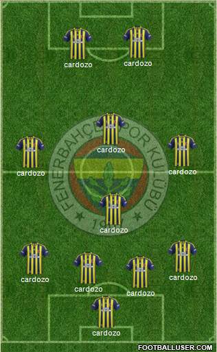 Fenerbahçe SK Formation 2013