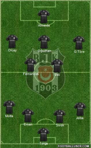 Besiktas JK Formation 2013