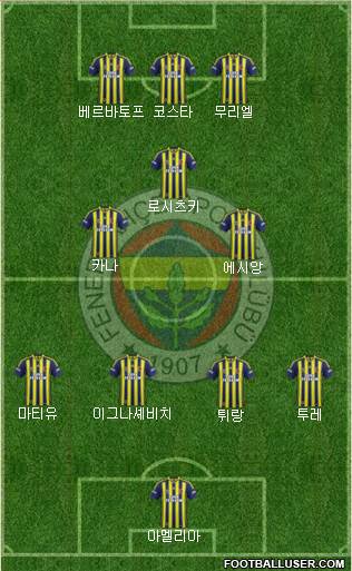 Fenerbahçe SK Formation 2013