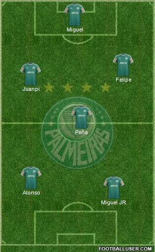 SE Palmeiras Formation 2013