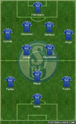 FC Schalke 04 Formation 2013