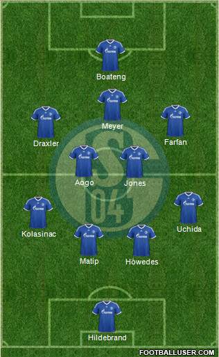 FC Schalke 04 Formation 2013