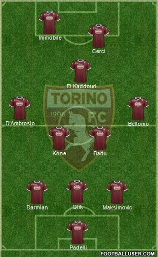 Torino Formation 2013