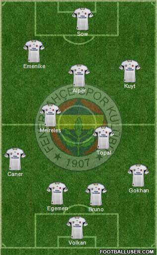 Fenerbahçe SK Formation 2013