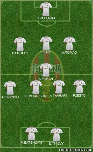 Ternana Formation 2013