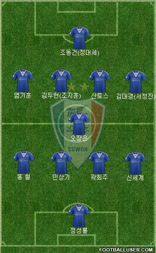 Suwon Samsung Blue Wings Formation 2013