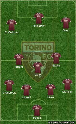 Torino Formation 2013