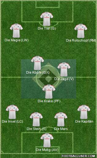 Hamburger SV Formation 2013