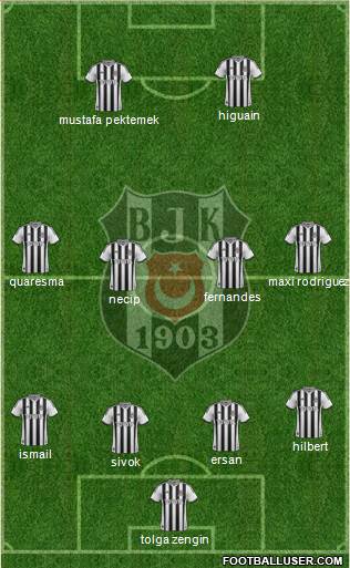 Besiktas JK Formation 2013