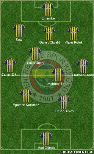 Fenerbahçe SK Formation 2013