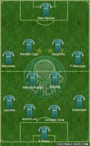 SE Palmeiras Formation 2013