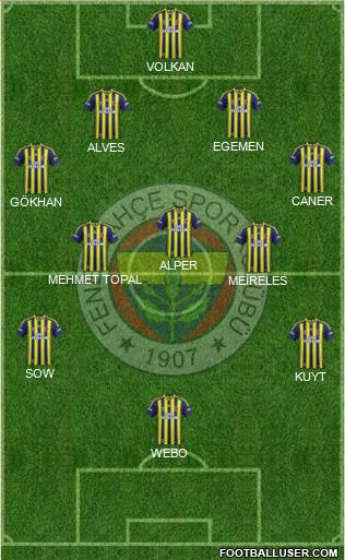 Fenerbahçe SK Formation 2013