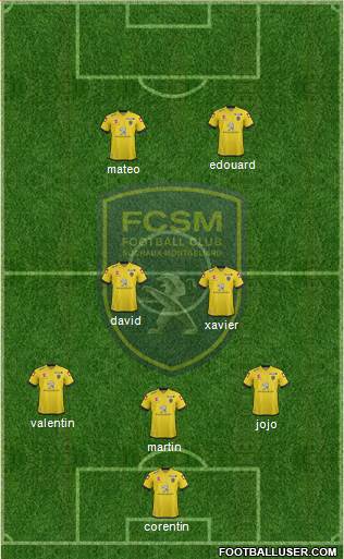 FC Sochaux-Montbéliard Formation 2013