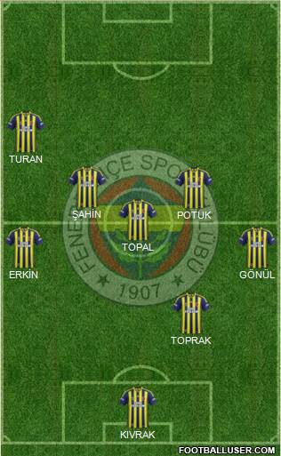 Fenerbahçe SK Formation 2013