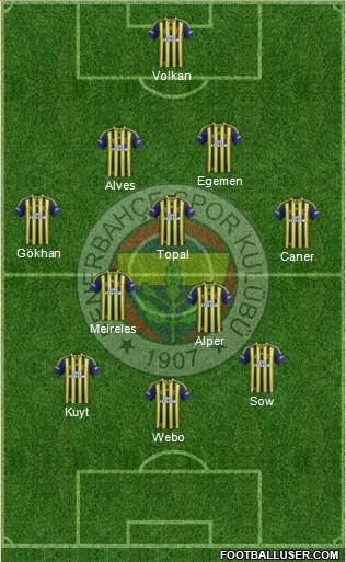 Fenerbahçe SK Formation 2013