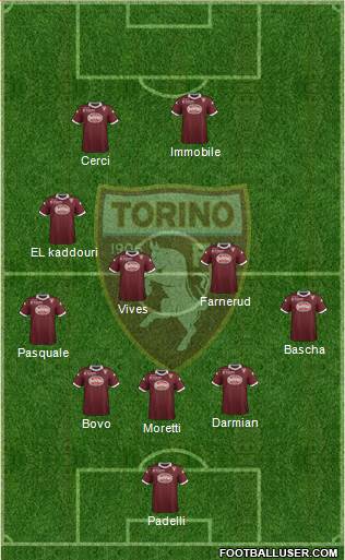 Torino Formation 2013