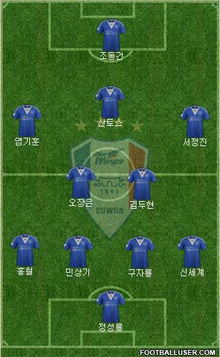 Suwon Samsung Blue Wings Formation 2013