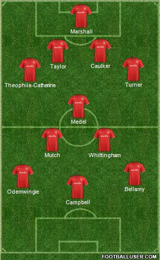 Cardiff City Formation 2013