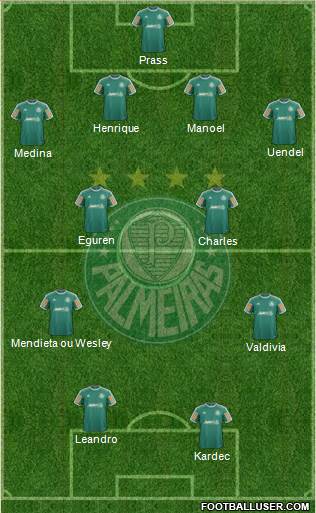 SE Palmeiras Formation 2013