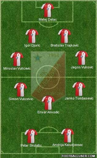 FK Vojvodina Novi Sad Formation 2013