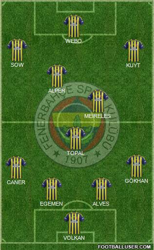 Fenerbahçe SK Formation 2013