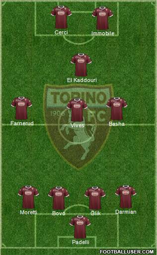 Torino Formation 2013