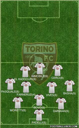 Torino Formation 2013