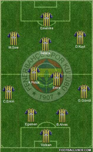 Fenerbahçe SK Formation 2013