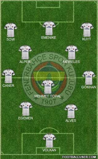 Fenerbahçe SK Formation 2013