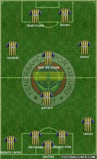 Fenerbahçe SK Formation 2013