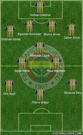 Fenerbahçe SK Formation 2013