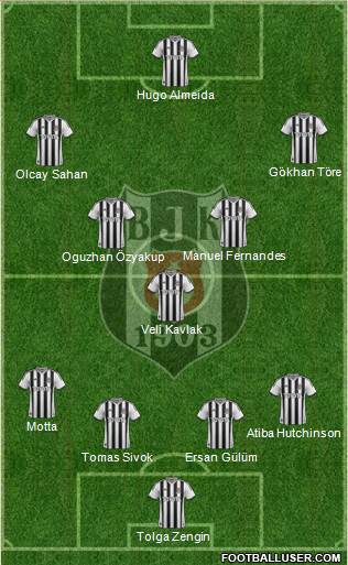 Besiktas JK Formation 2013