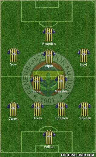 Fenerbahçe SK Formation 2013