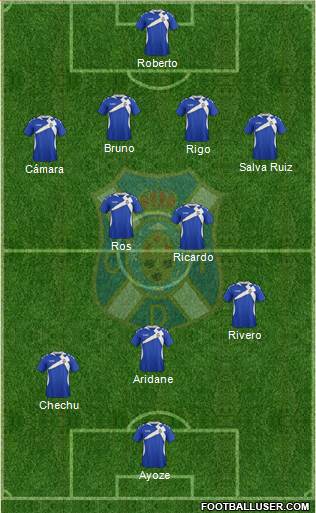 C.D. Tenerife S.A.D. Formation 2013