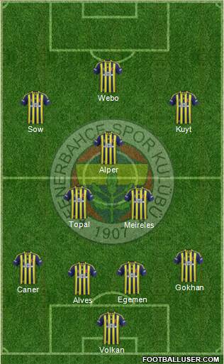 Fenerbahçe SK Formation 2013