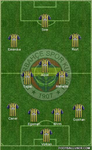 Fenerbahçe SK Formation 2013