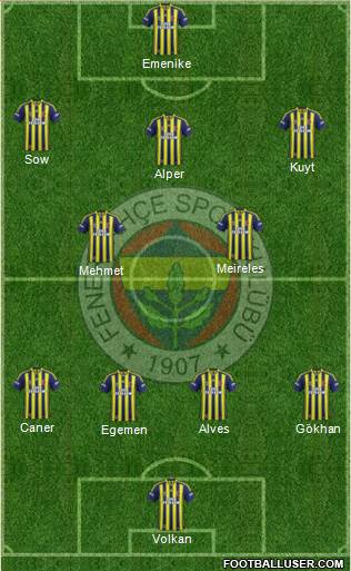 Fenerbahçe SK Formation 2013