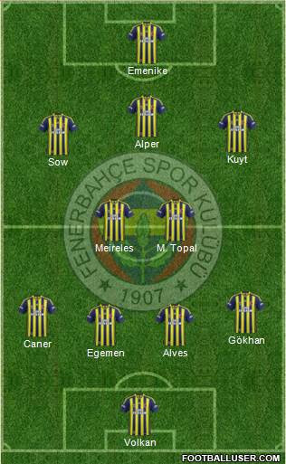 Fenerbahçe SK Formation 2013